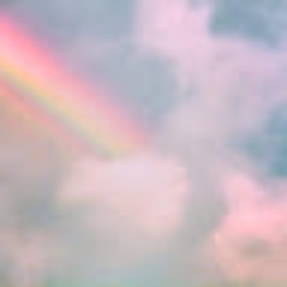 Meet your Posher, Halley - Picture 1 of 1